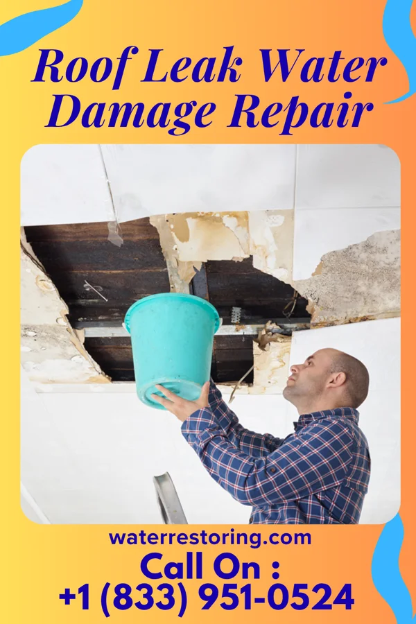 Roof Leak Water Damage Repair in Fairfield, MT